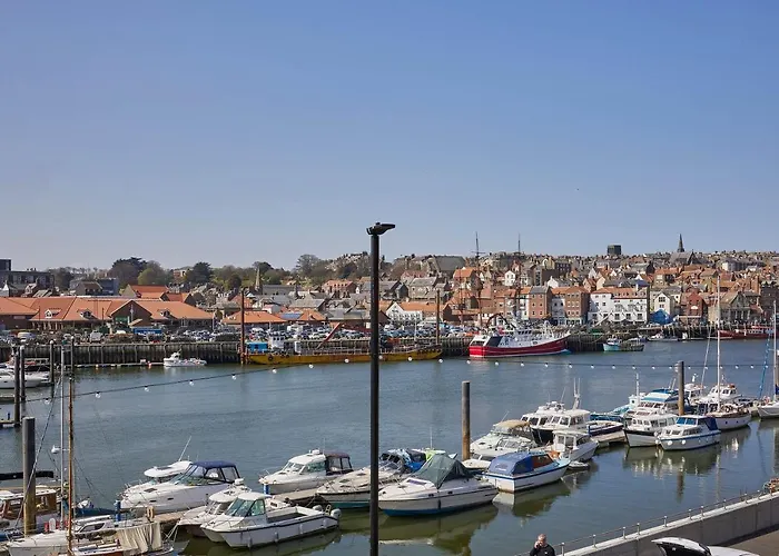 Host & - Cobblers Whitby